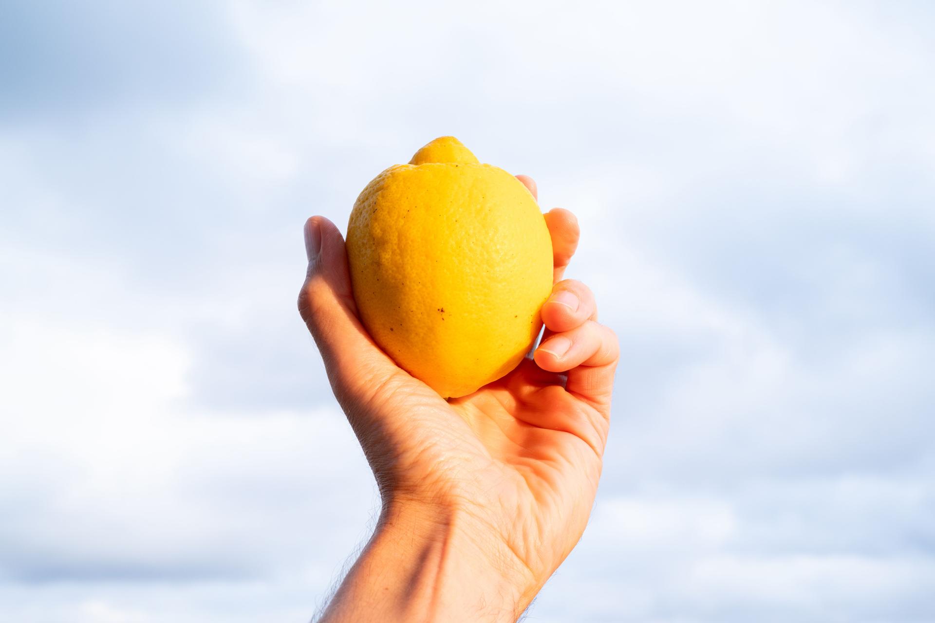 Hand holding a ripe lemon against a cloudy sunset sky