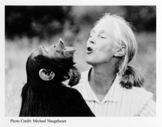 Cuando el tiempo vuela. El llamado de Jane Goodall