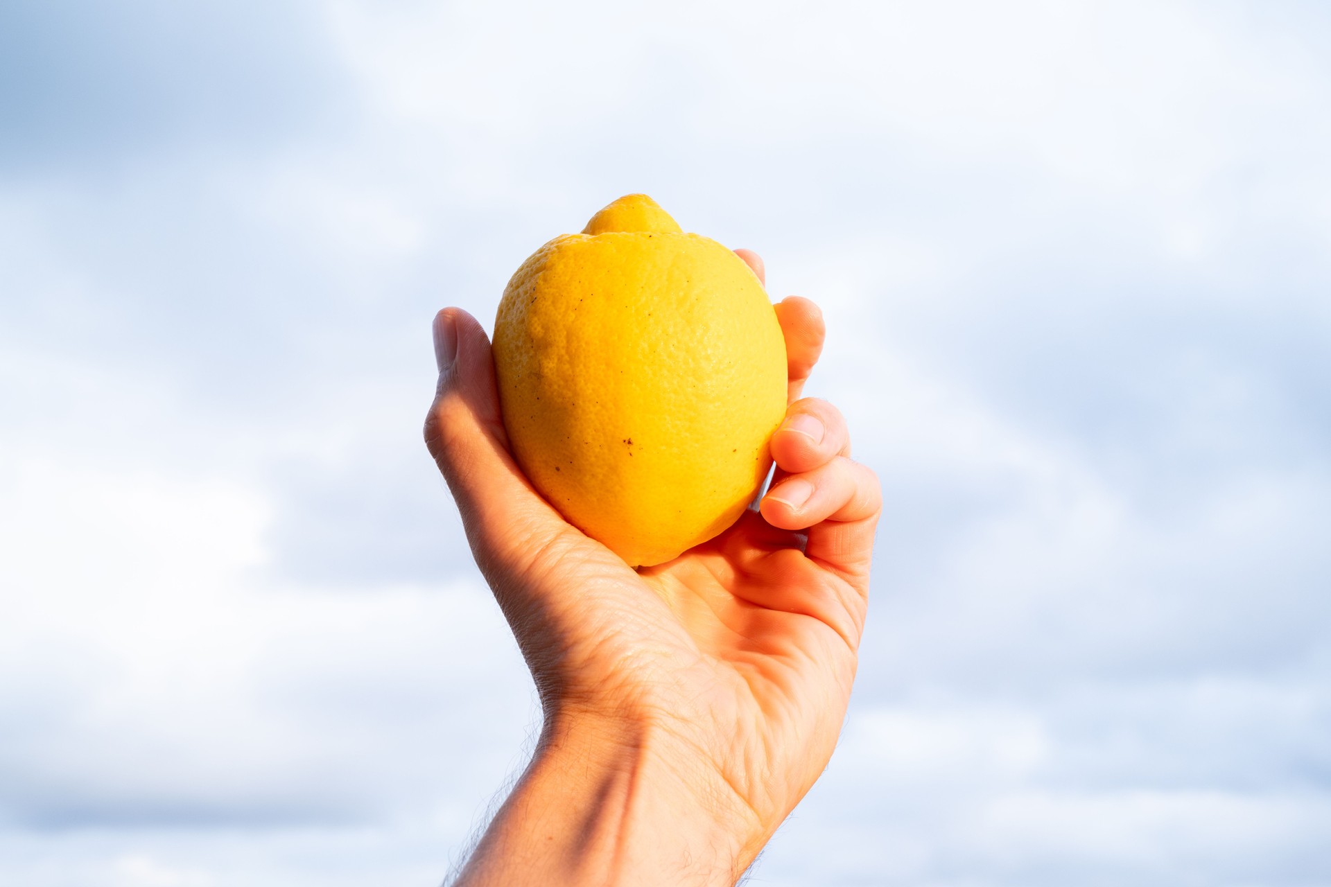 Hand holding a ripe lemon against a cloudy sunset sky